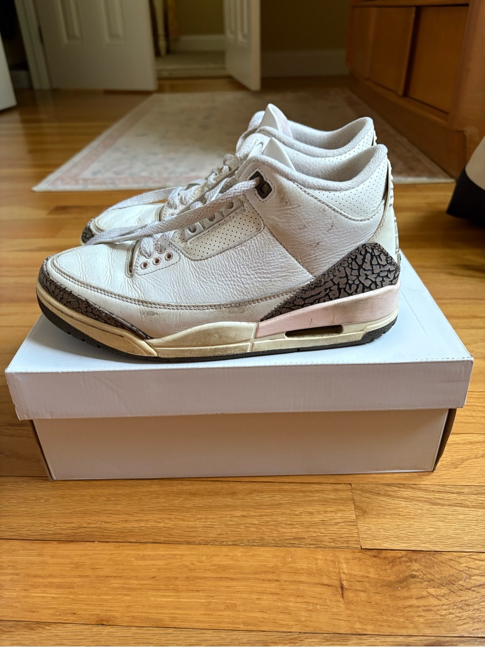 Nike Air Jordan 3 Retro Neapolitan Dark Mocha Shoes